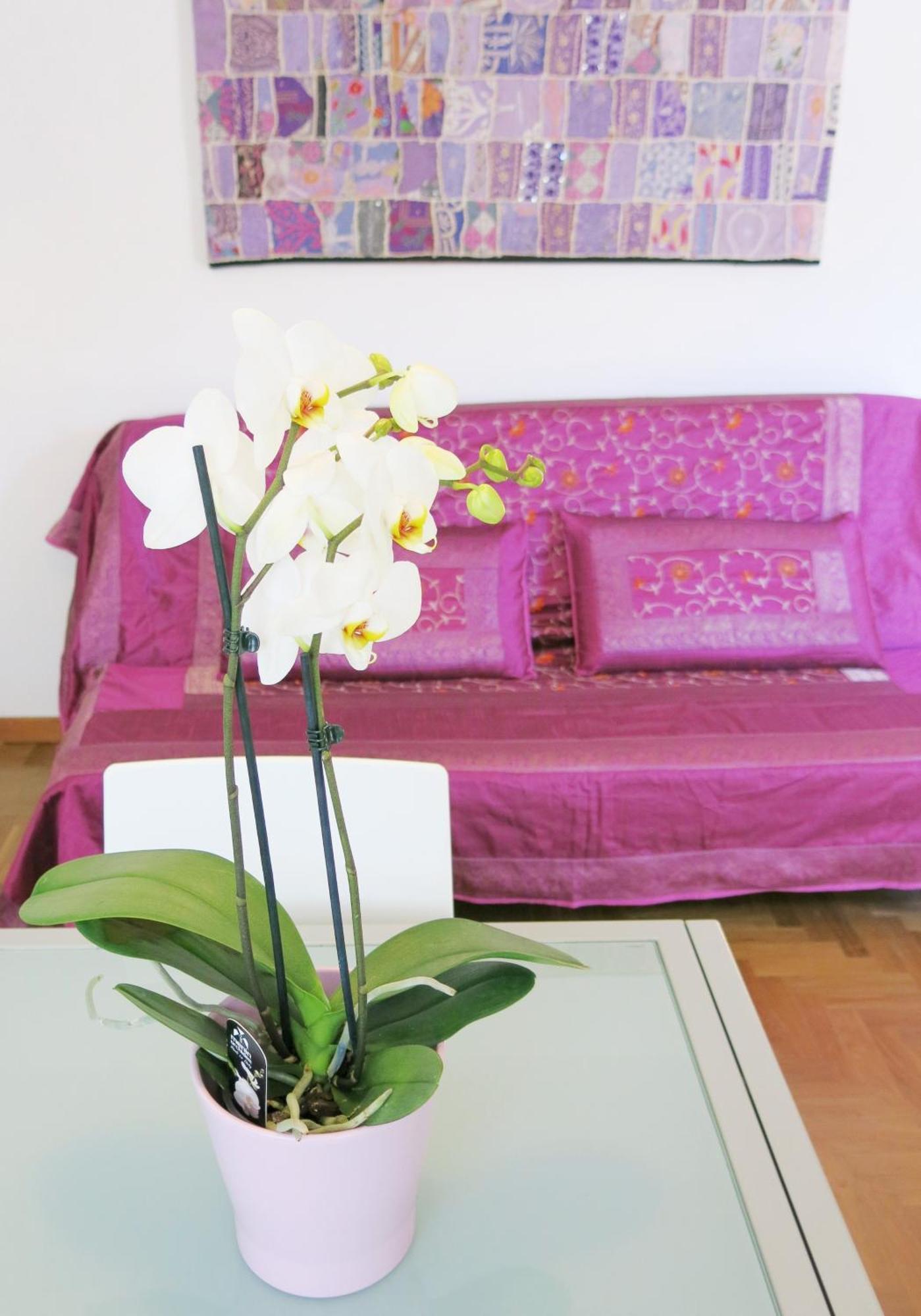 Residence Amarein Caorle Eksteriør bilde